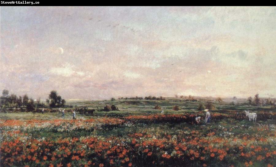 Charles Francois Daubigny Poppy Field